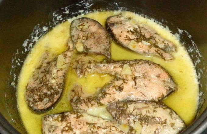 Pink salmon in a slow cooker with sour cream sauce