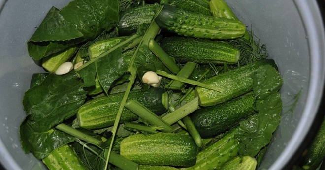 Lightly salted cucumbers in cold brine