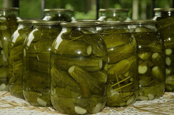 Pickled cucumbers with garlic and dill for the winter
