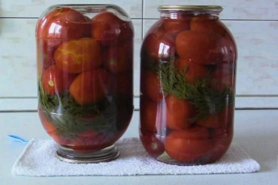 Rode tomaten met worteltoppen