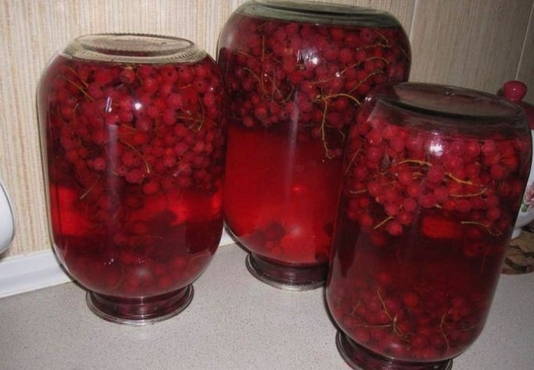 Red currant compote with twigs