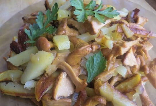 Fried chanterelles with potatoes and onions
