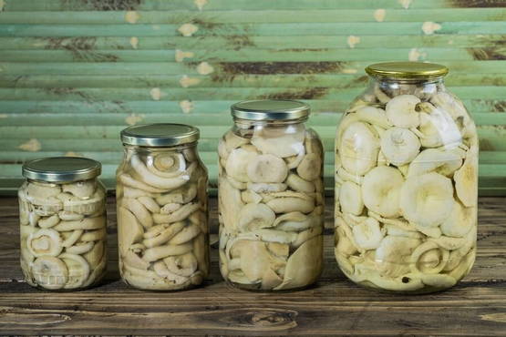 Pickled whites for the winter in jars