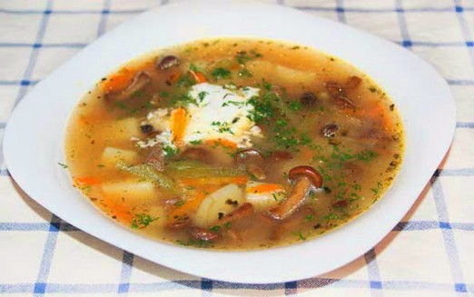 Soup with meadow mushrooms