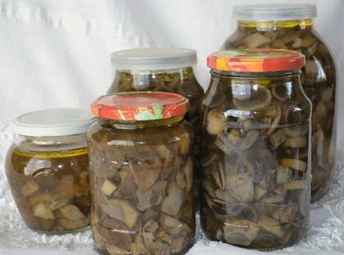 Pickled boletus with butter