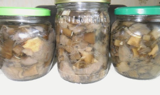 Pickled boletus mushrooms with citric acid