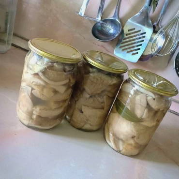 Pickled milk mushrooms in glass jars