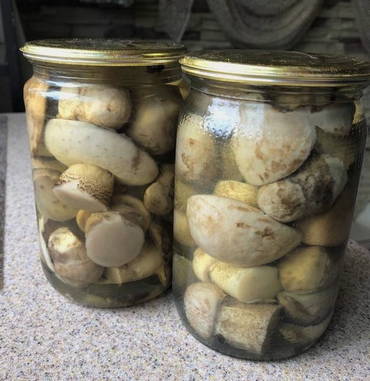 Pickled aspen mushrooms under iron lids for the winter
