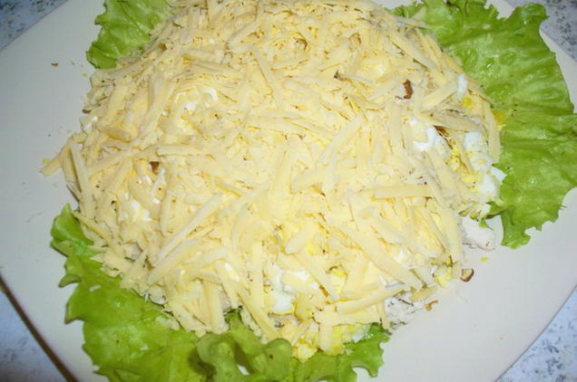 Chicken, cheese, egg and mayonnaise salad