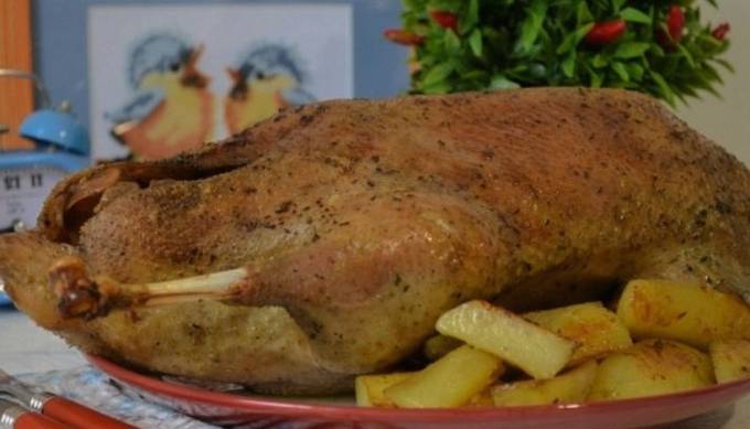 Goose with apples and potatoes in the sleeve in the oven