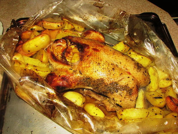 Oven baked goose in pieces with potatoes