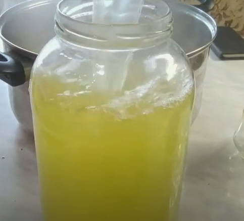 Birch lemonade
