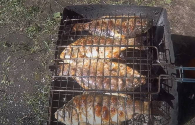 Carp marinated on a grill on the grill