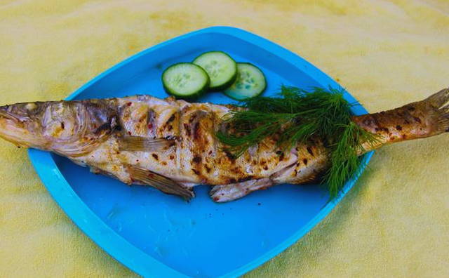 Grilled pike perch on the grill
