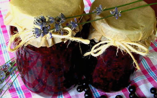 Black currants without cooking in the refrigerator for the winter
