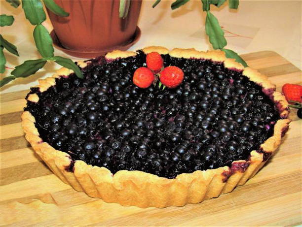 Open Blueberry Shortcrust Pie