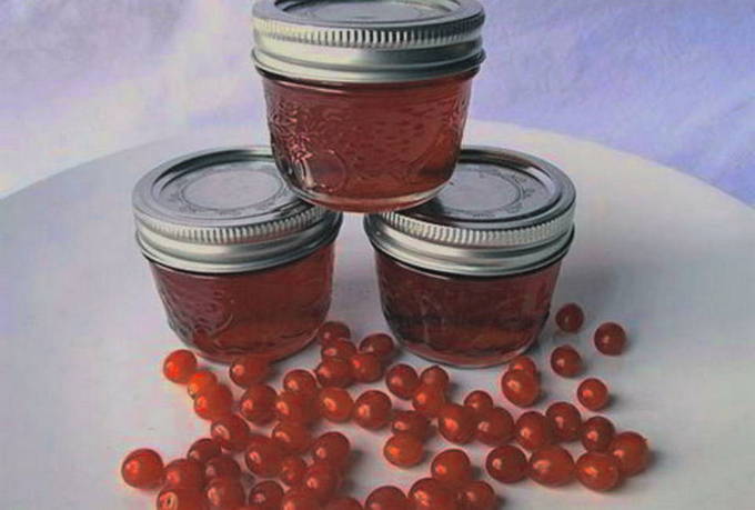 Lingonberry jelly without gelatin for the winter