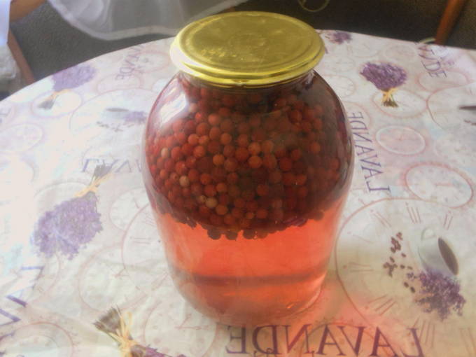 Lingonberry and apple compote without sterilization in a 3-liter jar for the winter