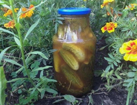 Cucumbers with ketchup for 5 liter jars